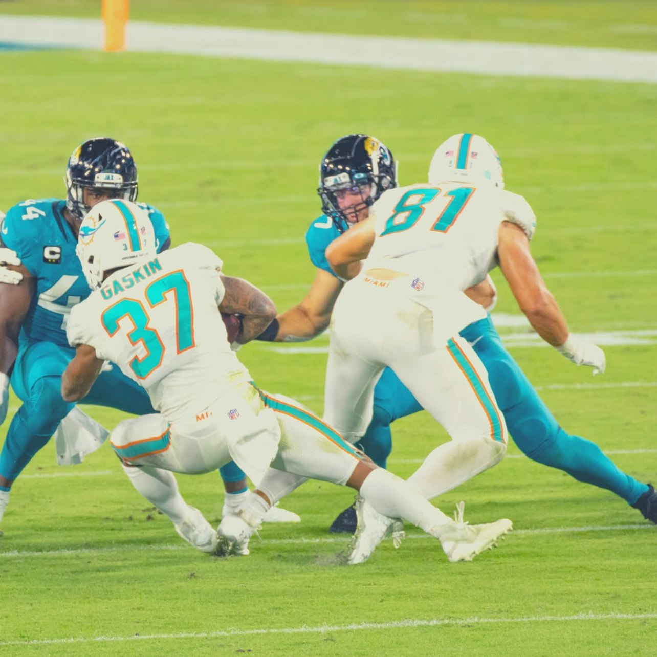 Hard Rock Stadium: Miami Dolphins Football Game - Photo 1 of 3